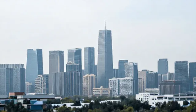 技术支持使用建议:5个检查要点确保高效应用